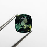 2.36ct 7.77x7.36x4.97mm Cushion Brilliant Sapphire 20963-13