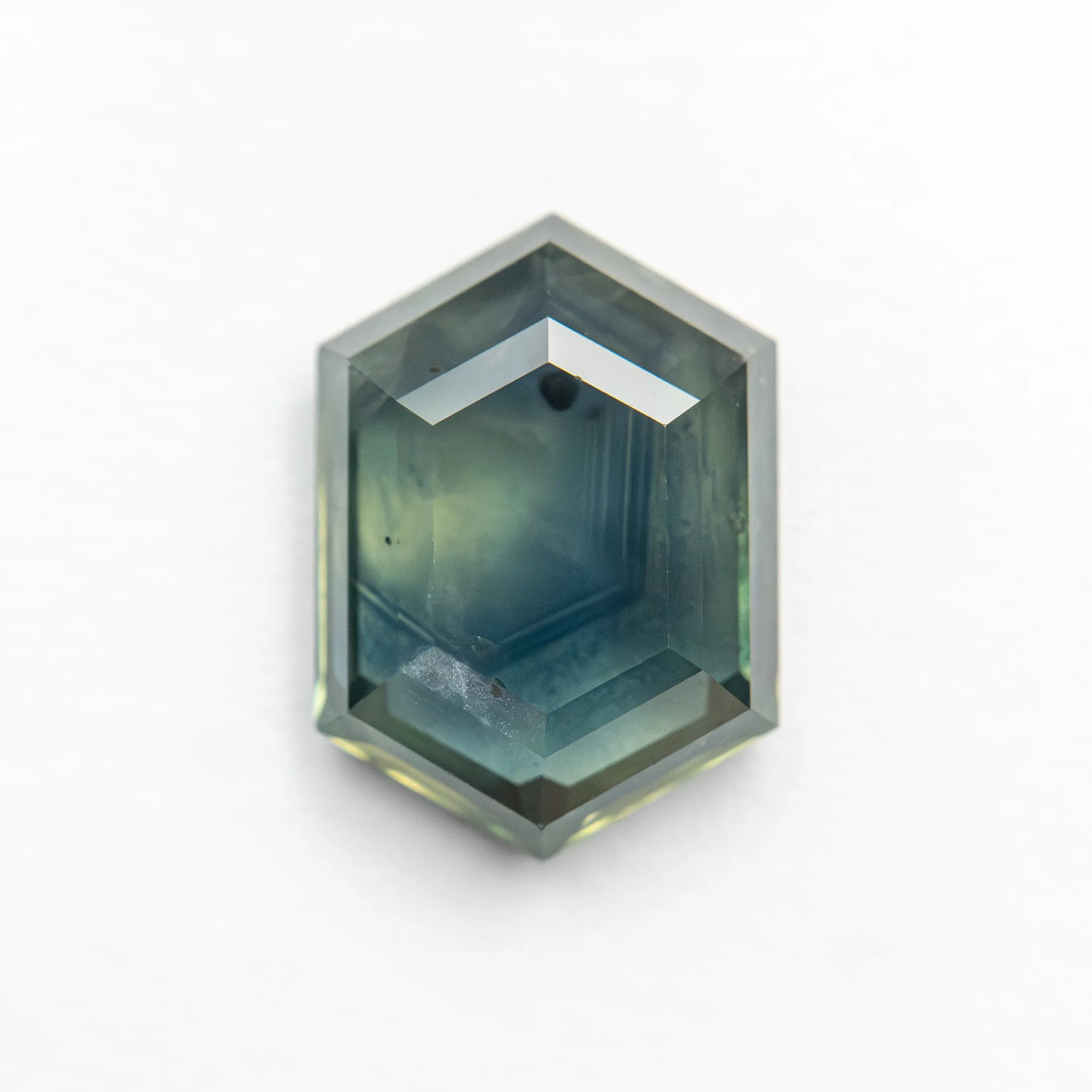 2.77ct 10.05x7.16x3.32mm Hexagon Portrait Cut Sapphire 22266-47