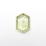 1.47ct 8.55x6.07x2.35mm Hexagon Portrait Cut Sapphire 22434-133