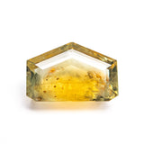 3.41ct 6.90x10.49x4.05mm Shield Portrait Cut Sapphire 22434-143