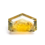 3.41ct 6.90x10.49x4.05mm Shield Portrait Cut Sapphire 22434-143