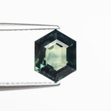 3.04ct 9.36x7.45x5.19mm Hexagon Step Cut Sapphire 22765-01