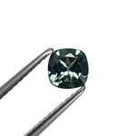0.67ct 5.00x5.00x3.00mm Cushion Brilliant Sapphire 23466-11