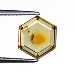 3.37ct 9.94x8.453.43mm Hexagon Portrait Cut Sapphire 23469-35