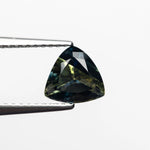 1.32ct 6.62x6.50x4.04mm Trillion Brilliant Sapphire 23515-01