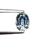 0.98ct 6.91x5.02x3.20mm Oval Brilliant Sapphire 26162-05