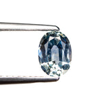 0.98ct 6.91x5.02x3.20mm Oval Brilliant Sapphire 26162-05