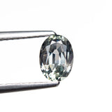 0.94ct 6.97x5.01x3.14mm Oval Brilliant Sapphire 26162-10