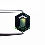 1.44ct 7.72x5.60x3.67mm Hexagon Step Cut Sapphire 26344-01