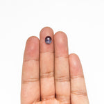 1.16ct 8.06x6.61x2.45mm Oval Double Cut Sapphire 26584-01