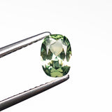 0.69ct 6.48x4.62x2.83mm Cushion Brilliant Sapphire 26673-01