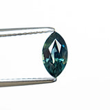 0.66ct 7.36x4.10x3.00mm Marquise Brilliant Sapphire 27340-10