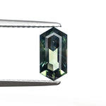 1.09ct 8.92x4.64x3.01mm Hexagon Step Cut Sapphire 27352-01