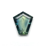 1.04ct 8.63x7.51x1.66mm Shield Portrait Cut Sapphire 27730-04