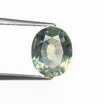 1.61ct 8.01x6.55x3.69mm Oval Brilliant Sapphire 27731-01