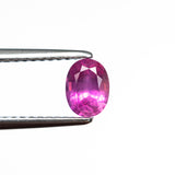 0.65ct 5.85x4.40x3.09mm Oval Brilliant Sapphire 27955-10
