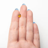 1.32ct 7.40x5.96x3.59mm Oval Brilliant Sapphire 28293-01