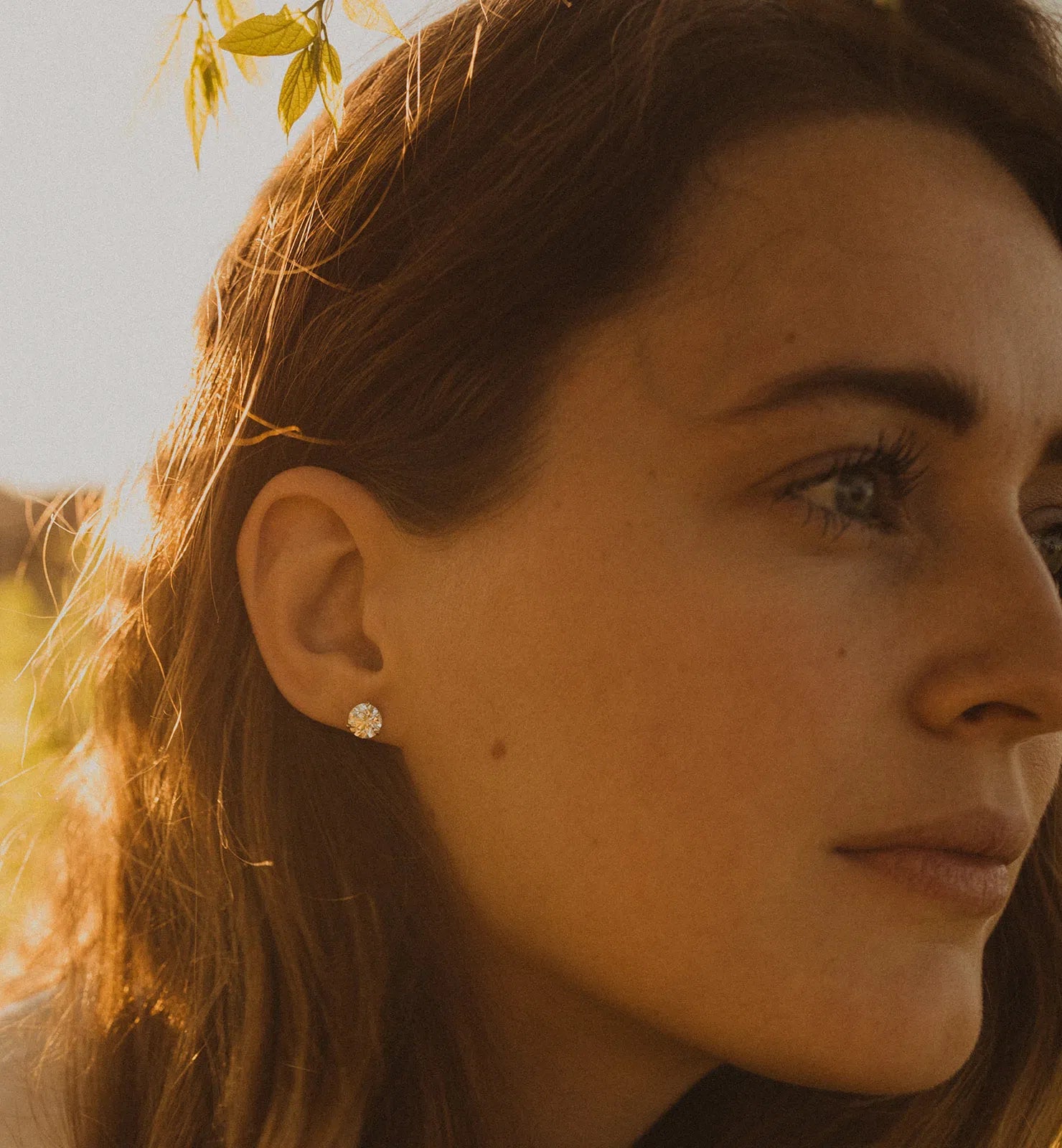 Large Lab-Grown Diamond Stud Earrings - 2ctw-Honey Jewelry Co-Honey Jewelry Co